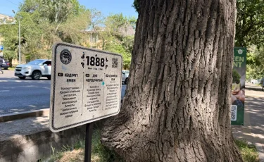 Алматыда қайта өңделген пластиктен жасалған алғашқы ақпараттық тақтайша орнатылды