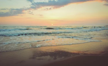 На пляже обнаружены человеческие останки