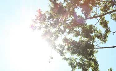 Грозы и ливни: прогноз погоды на 18 июня по регионам