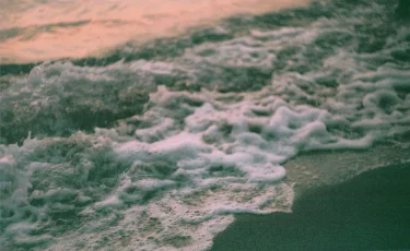 Тревожные пятна на Каспии: что говорят экологи