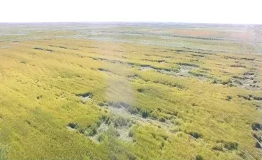 Жетісу облысында құны 100 млн теңгенің жер телімі қайтарылды