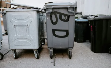 Әйел адам қоқыстан 187 миллион теңге тауып алды