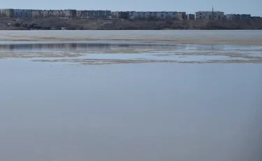 Жетісу облысында бір күнде екі бала суға батып кетті