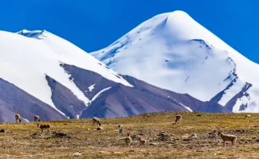 Глобальное потепление: температура вечной мерзлоты в Швейцарских Альпах бьет рекорды