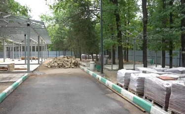 Дендросаябақтағы құрылыс: Шымкентте экобелсенділер дабыл қағып отыр