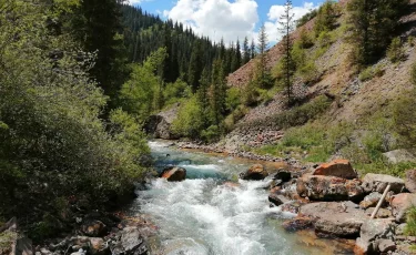 Очередная смерть на воде: мать и сын утонули в реке