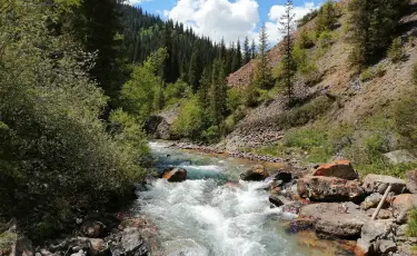 Очередная смерть на воде: мать и сын утонули в реке