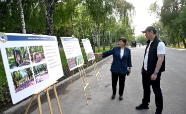 Дархан Сатыбалды Жетісу ауданындағы жолайрықты кешіктірмей пайдалануға беруді міндеттеді