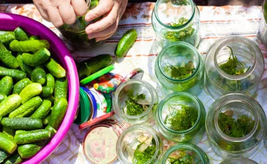 Золотой рецепт лечо из огурцов: закрываю по 20 банок каждый год