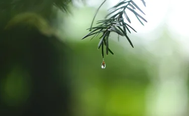 Грозы и дожди: прогноз погоды в Казахстане на 23 июля