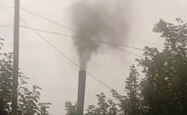 Жеміс-жидек жеуге жарамсыз: таза ауаға зар болған тұрғындар кәсіпорынның жұмысын тоқтатуды талап етті