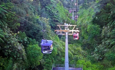 Поверили ИИ и уехали в никуда: пожилая пара искала несуществующий рай