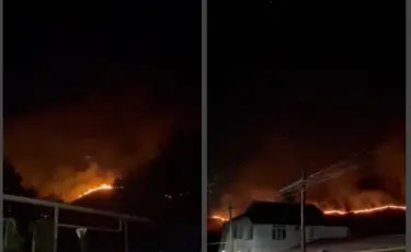 ТЖМ құтқарушылары Алматыда тау бөктеріндегі өртті сөндірді
