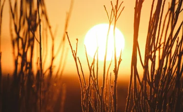 На юге Казахстана — экстремальная жара до +45°С