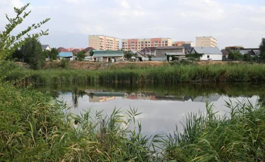 Алматының Түрксіб ауданында экологиялық жобалар қалай жүзеге асады