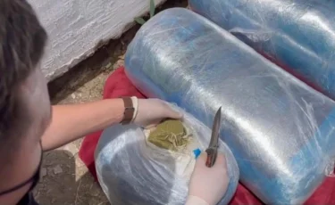 Абай облысында күдіктіден 100 келіден астам марихуана мен 7 келі гашиш тәркіленді