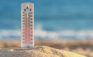 Исторический максимум: в Венгрии зафиксирован 100-летний рекорд жары