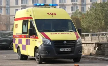 Отбасымен бірге серуендеп жүрген: Павлодарда әйел адам көз жұмды