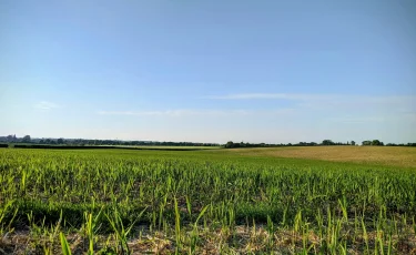 Үкімет Қызылорда облысындағы егін алқаптарын сумен қамтуға 1 млрд теңге бөлді