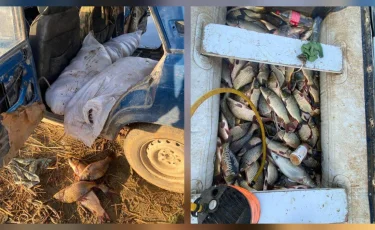 ШҚО-да тыйым салынған аймақта балық аулаған 5 күдікті ұсталды