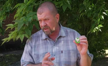 Тихая угроза с крыльями: в Костанае зафиксировали большое количество непарного шелкопряда