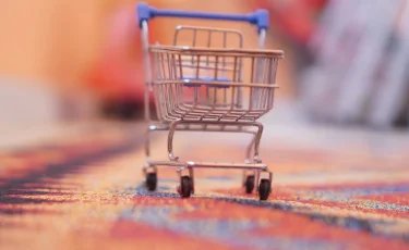 Мемлекеттік сатып алу туралы заң шағымдарды үш есеге азайтты