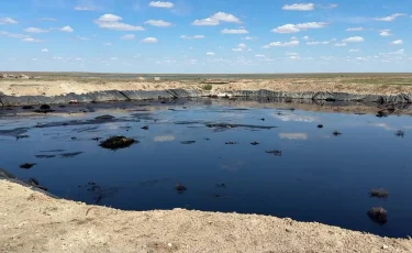 Сағыз өзеніне құйылса не болмақ: Атырау жұрты жайылған мұнай қалдығына алаңдаулы