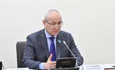 ЛГБТ насихатқа заңмен тыйым салу керек - Еділ Жаңбыршин