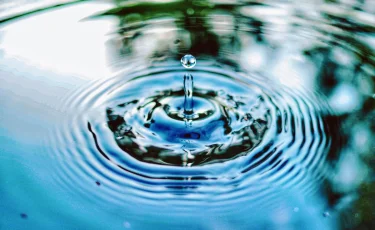 Жыл басынан бері Балқаш көлінің деңгейі 32 см-ге көтерілді