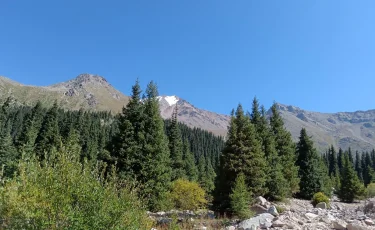 Горы не прощают: какие главные ошибки новичков в походах на природу