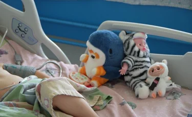 Қосшыда 7 жастағы қыз бала терезеден құлап көз жұмды