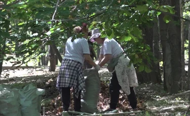 Таза Қазақстан: Бостандық ауданында  230 текше метр қоқыс шығарылды