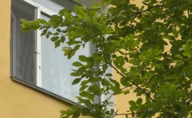 Павлодарда үшінші қабаттан құлаған бала көз жұмды