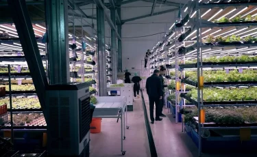 Алматының Индустриалды аймағында қанша адам жұмыс істейді