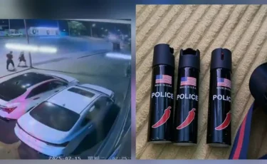 Тонап келген: Алматыда күдіктілер ұсталды