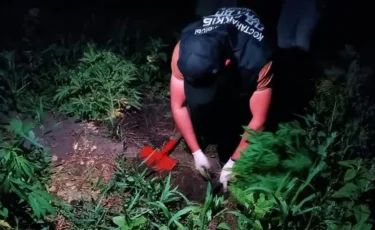 Қостанай облысында бақшасына есірткі өсірген адам ұсталды