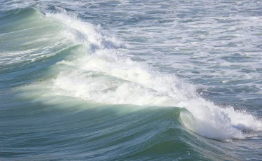 Камчаткадағы жер сілкінісінен кейін Чилиде цунами қаупі жарияланды