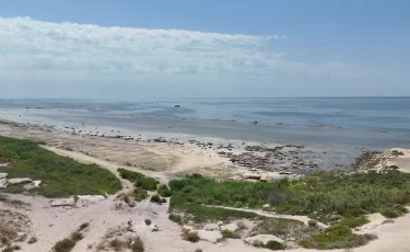 Маңғыстауда заңсыз берілген 91 мың гектар жер мемлекетке қайтарылды