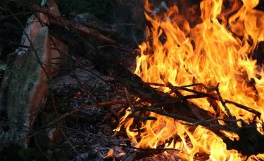 Греческий остров в огне — власти эвакуируют отдыхающих