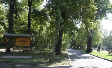 Алматыда Баум тоғайын абаттандыру жобасы басталды