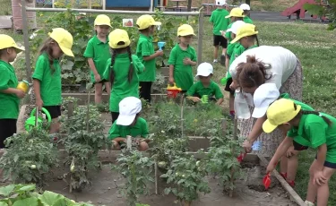 Воспитание зелёных сердец: экопривычки теперь прививают в детсадах