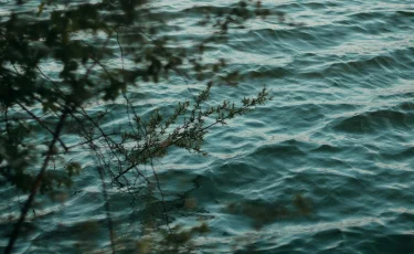 БҚО-да ер адам Шалқар көліне батып кетті