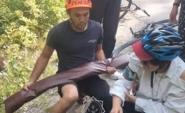 Спасатели эвакуировали туристку у Большого Алматинского озера