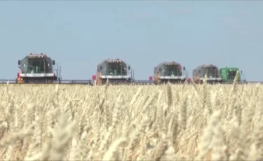 Қазақстанда астық экспорты 58,4 пайызға артты