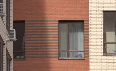 Екі баласын лақтырған: Павлодардағы жантүршігерлік оқиғаға оқушылар куә болған