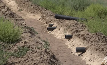 Су тапшы, өнім қурап жатыр: Айдарлы шаруалары көмек сұрайды