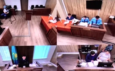 Дело Перизат Кайрат: потерпевший блогер просит проявить снисхождение к матери