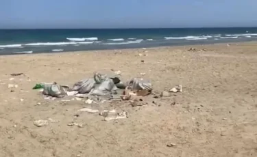 Әжелерімен ауылдағы секс Ең әдемі секс порно hd