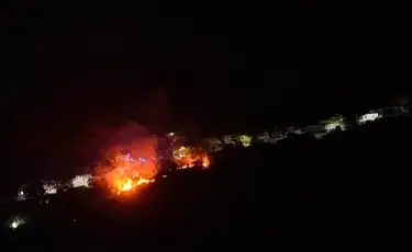 Испытание огнем: в мегаполисе зарегистрировано уже более 300 случаев возгорания сухой травы