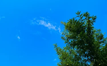 Прогноз погоды на 22 июля: в Казахстане сильный ветер и жара до 41 градуса